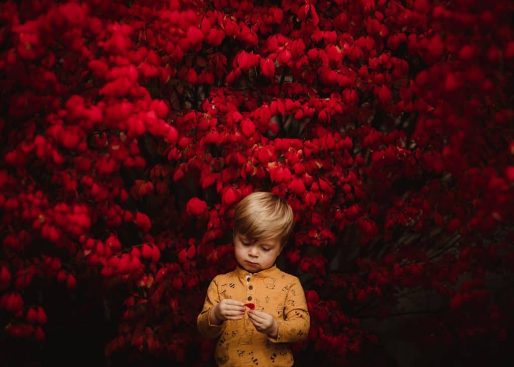 A Kid's Life XXIII
