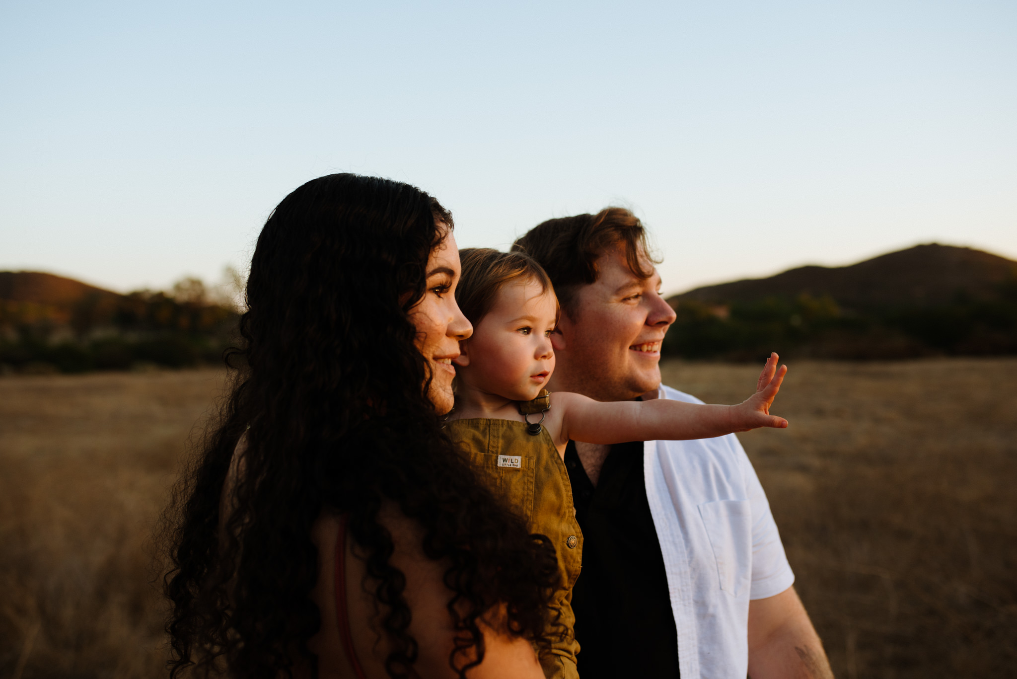 Zion Presets