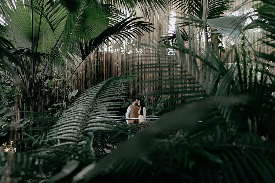 A wedding couple is standing in the botanical garden in Atlanta, in front of them are palms and ferns.
