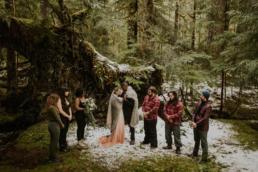 A wedding couple and their bridesmaids and groomsmen are standing in the Mount Rainer National Park.