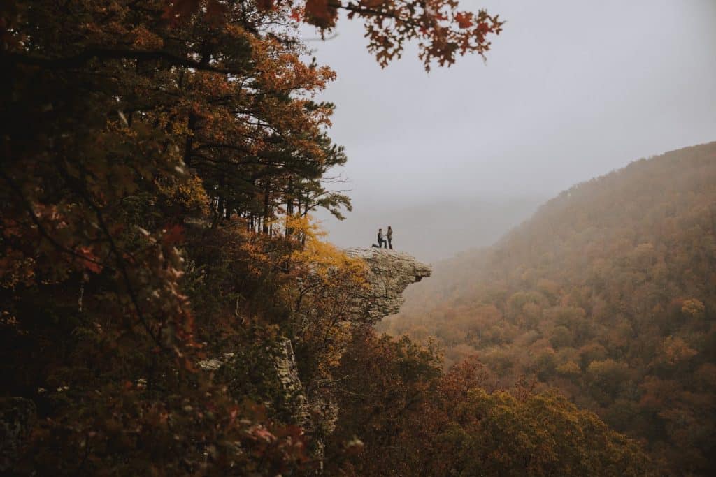 Fog Photos