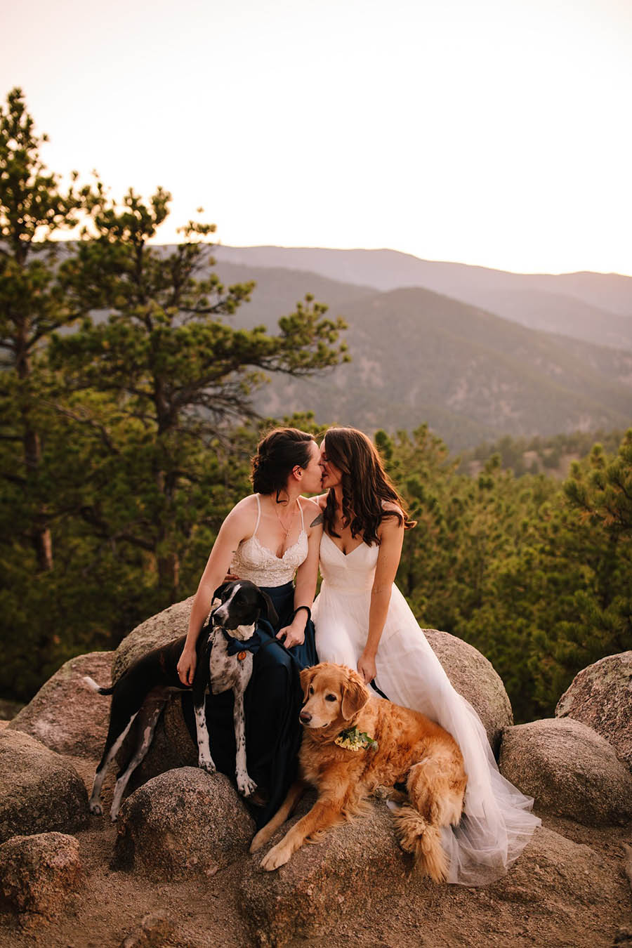 A wedding couple, two brides, are kissing each other and are sitting on rocks with two dogs on front of them in the Flagstaff Mountains.
