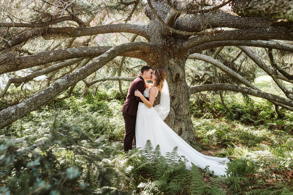 A wedding couple is kissing each other under a tree at the Moraine Farm., one of the wedding venues in Massachusetts.