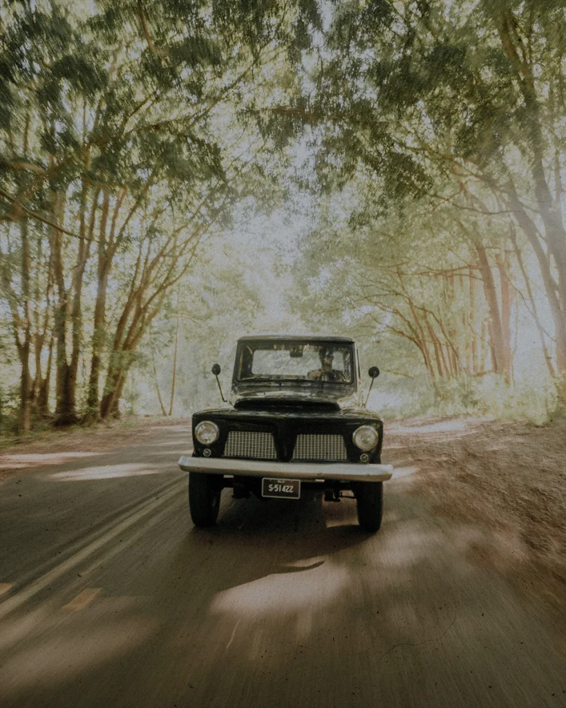An example for editing with vintage lightroom presets