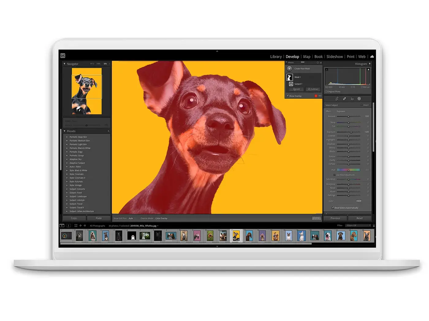 Screenshot showing Adobe Lightroom Classic